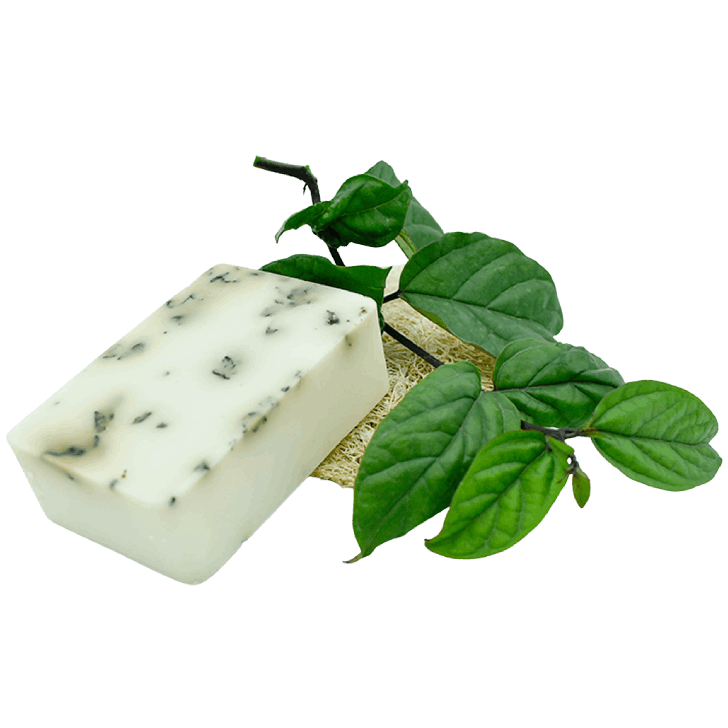 Natural Organic beauty products